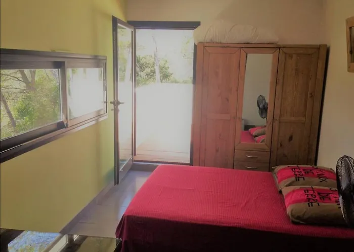 Avec Piscine Et Dépendance Villa Nimes